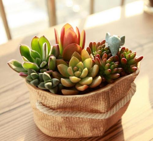 籩Ϯ ½߷ٳÿСʱ100