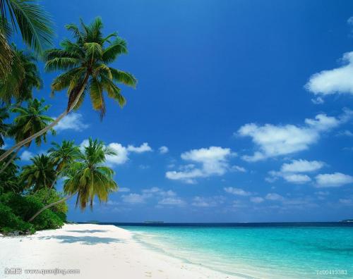 ޵ǵ1 ڹ˹Ǻ˵վݹر